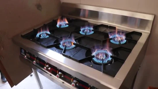 Cuisinière à gaz de cuisson de brûleur de fabricant professionnel